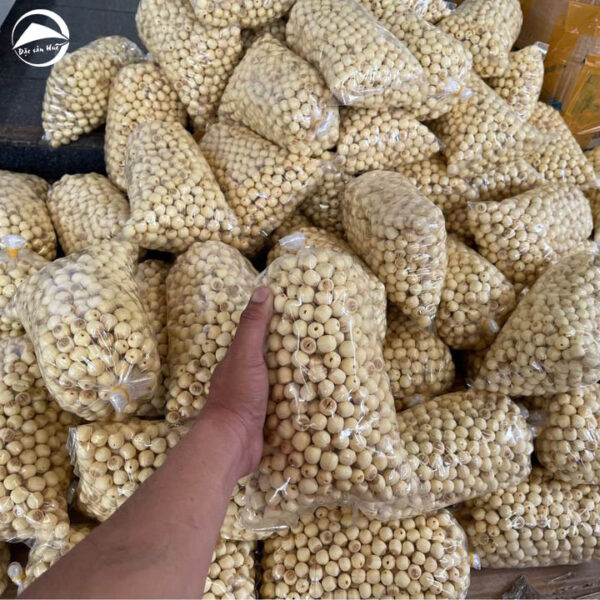 Hạt sen Huế tươi